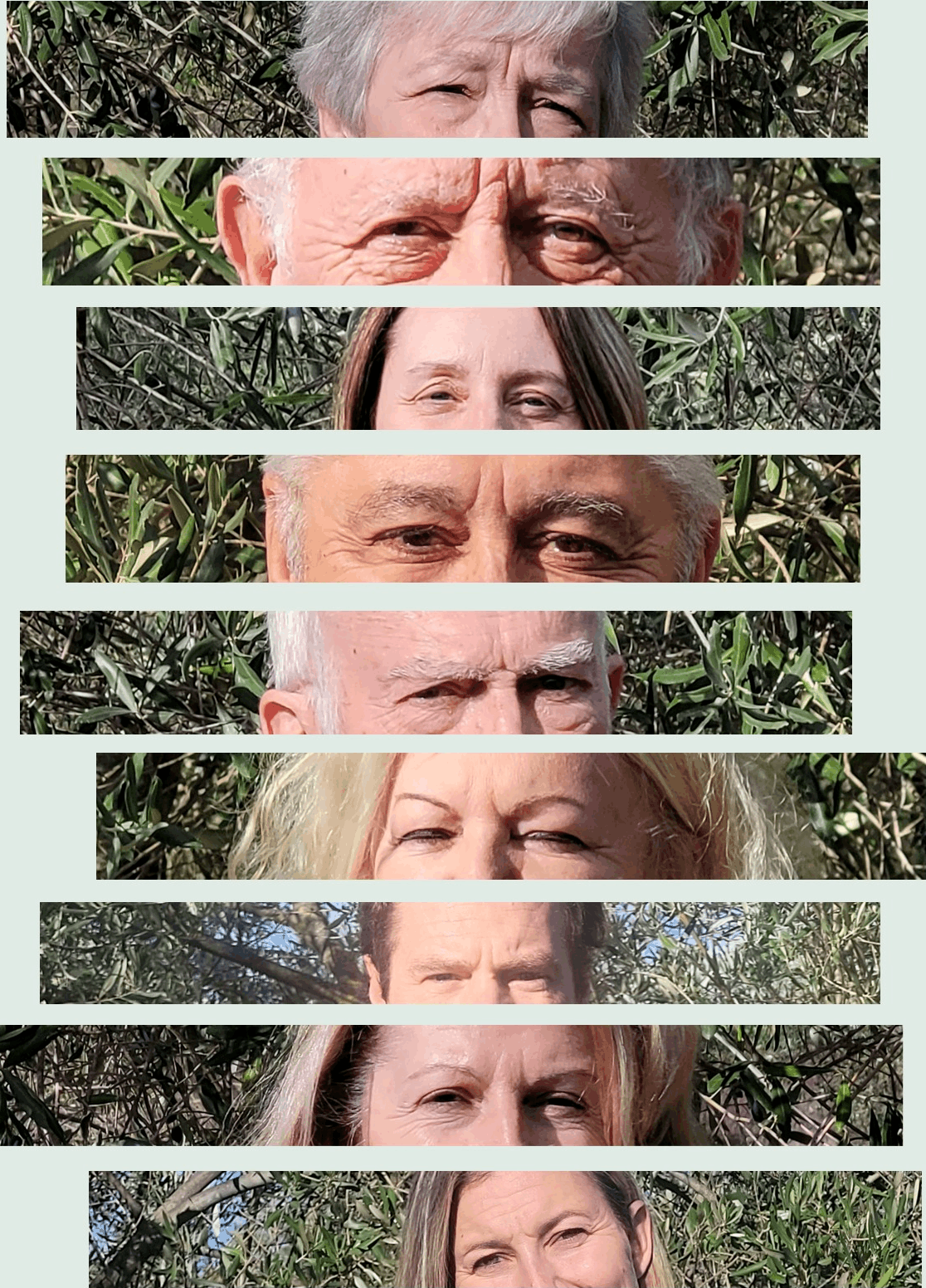 Deuxième partie de l'équipe